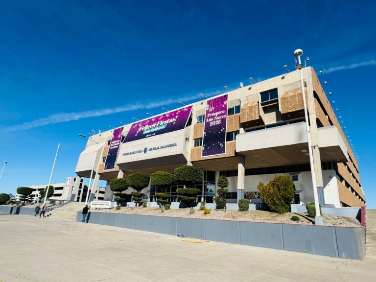 WhatsApp Image 2025-12-03 at 12.46.29 PM