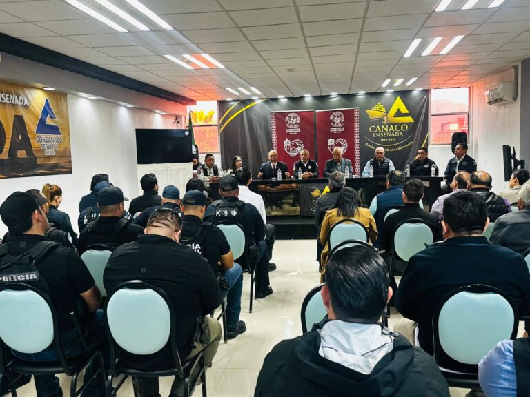 WhatsApp Image 2025-12-04 at 1.50.26 PM