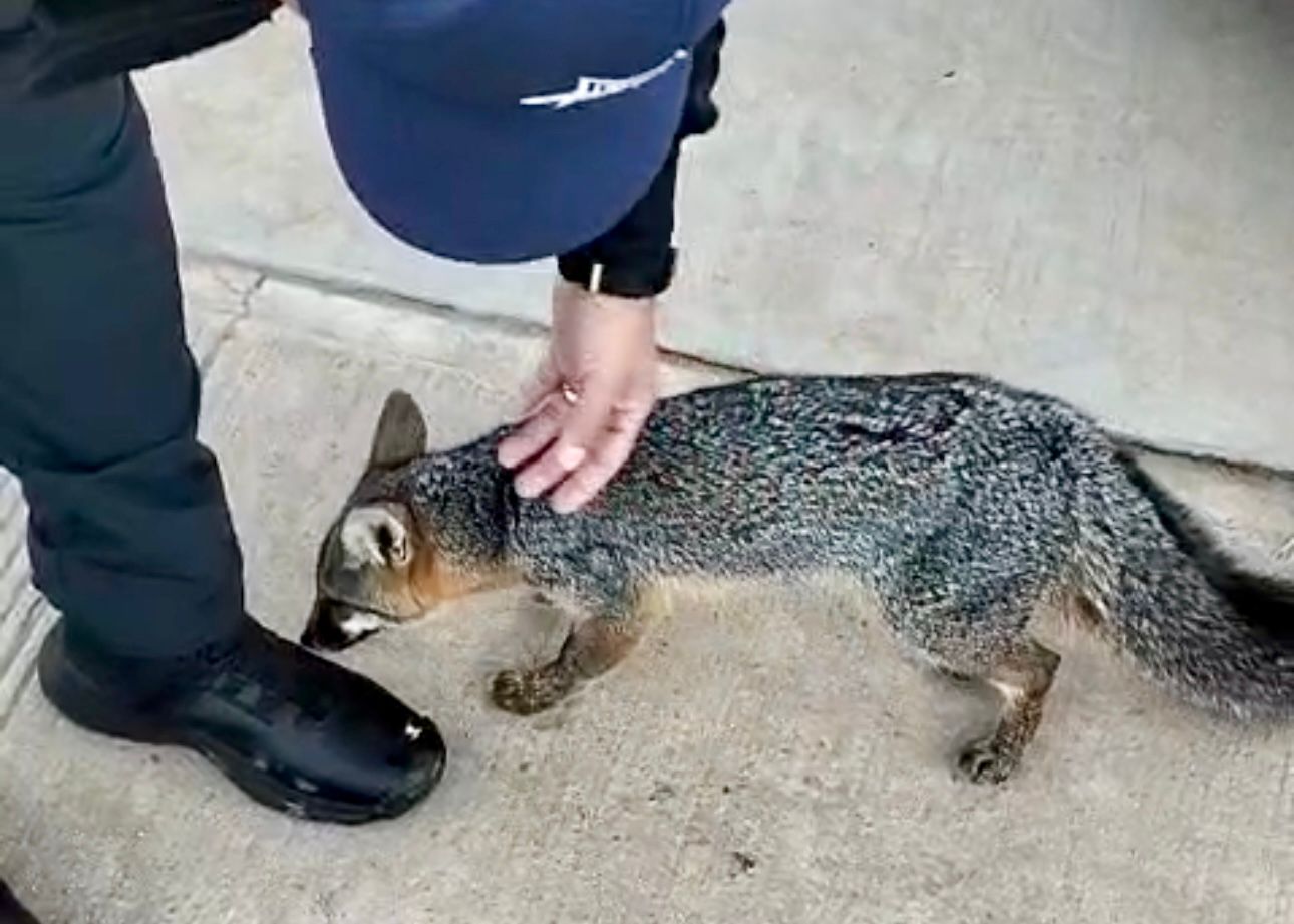 WhatsApp Image 2025-12-07 at 1.05.10 PM