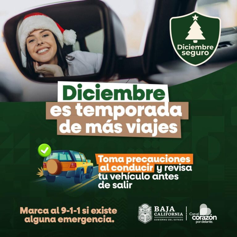 WhatsApp Image 2025-12-13 at 12.55.07 PM