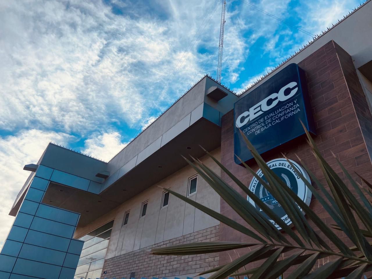 WhatsApp Image 2025-12-14 at 11.30.10 AM