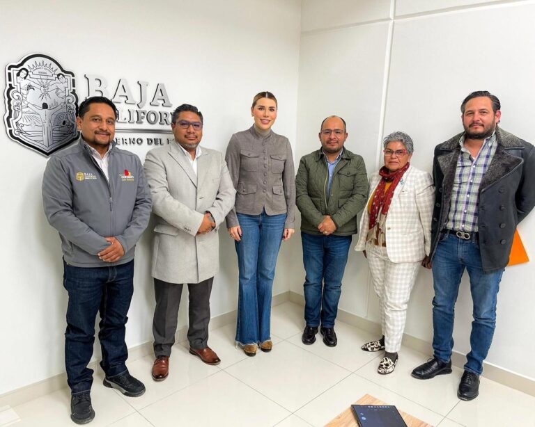 WhatsApp Image 2025-12-15 at 6.43.15 PM