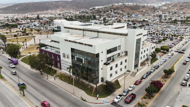 WhatsApp Image 2025-12-16 at 4.26.01 PM (1)