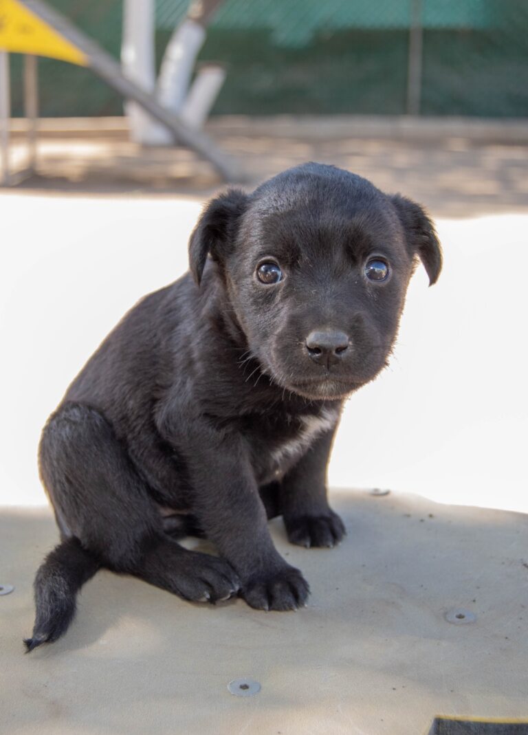 WhatsApp Image 2025-12-18 at 1.15.03 PM