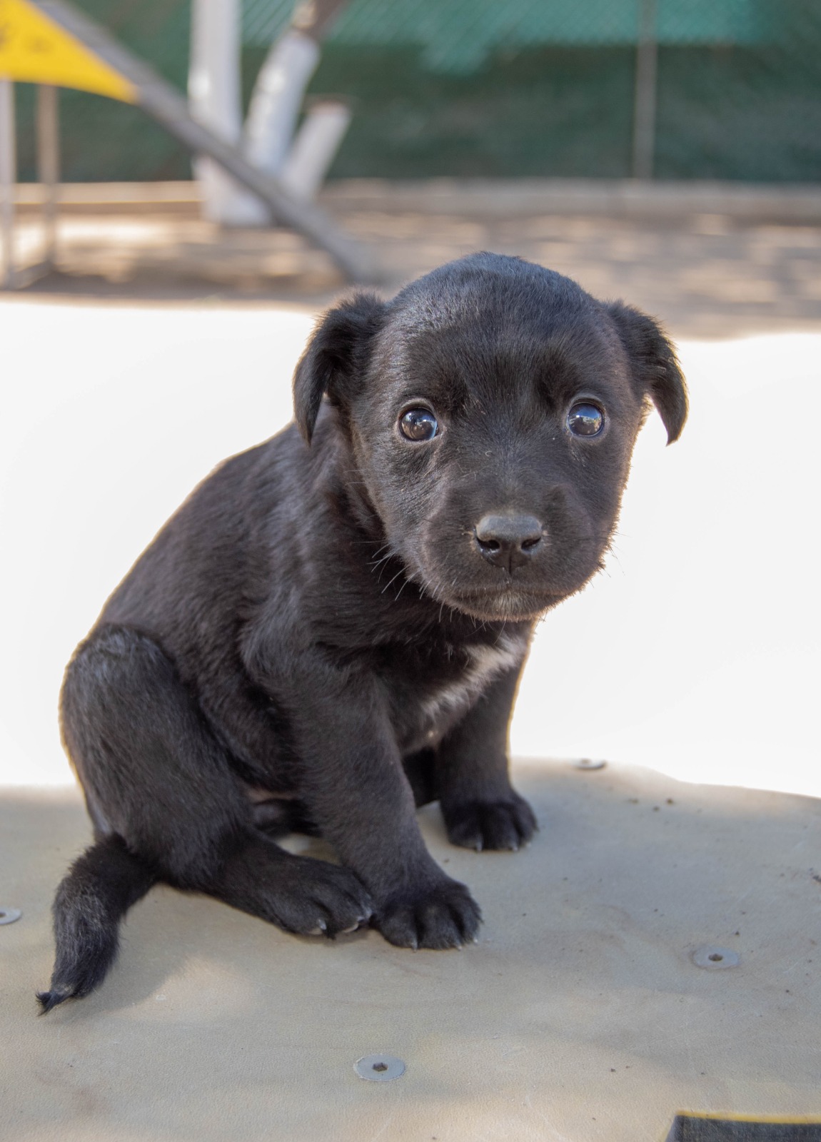 WhatsApp Image 2025-12-18 at 1.15.03 PM