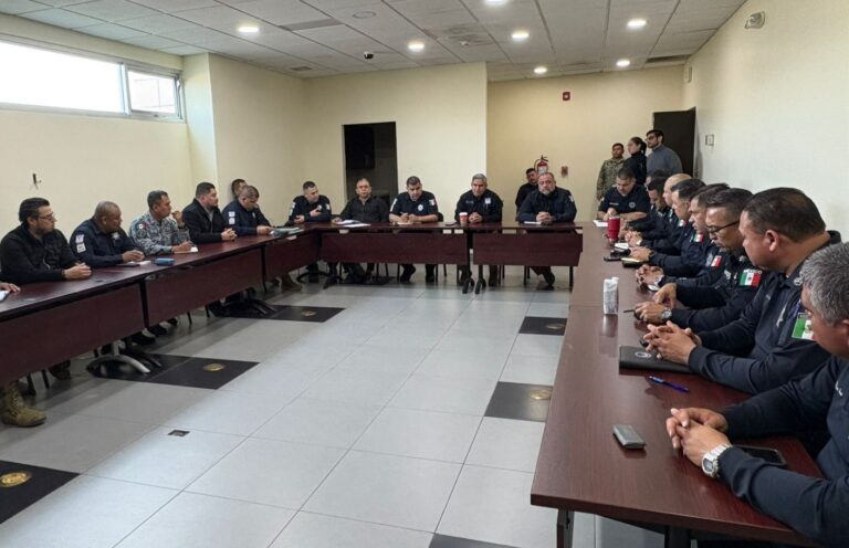 WhatsApp Image 2025-12-18 at 2.42.49 PM