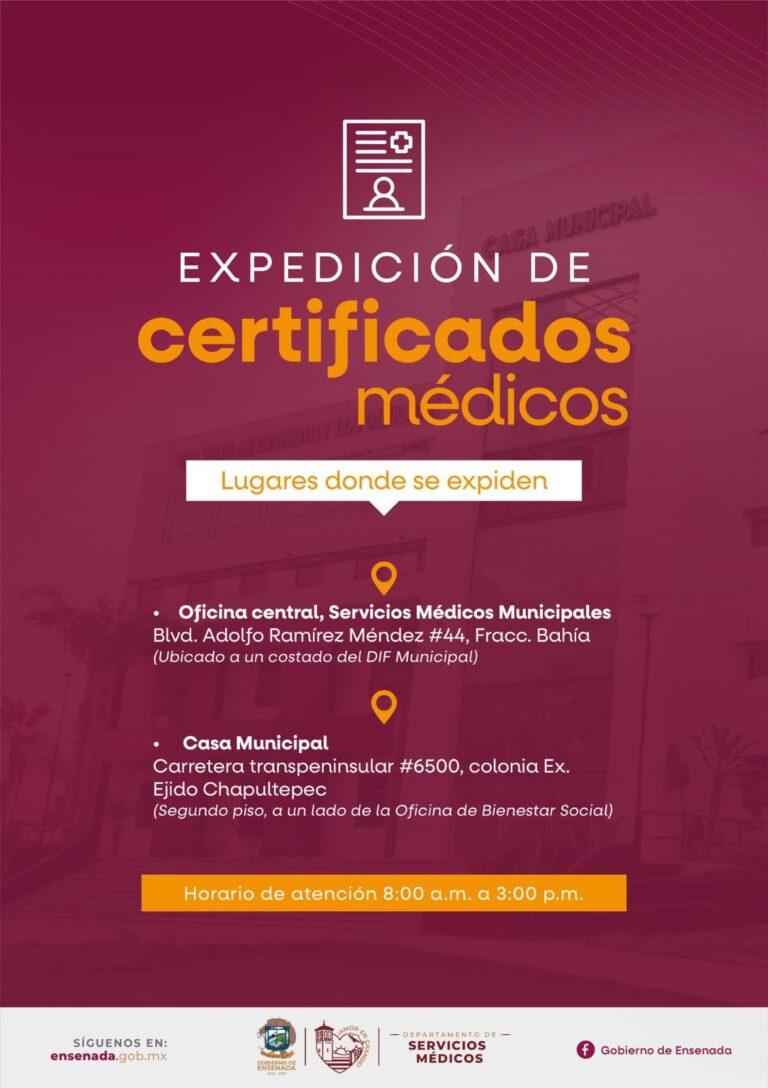 WhatsApp Image 2025-12-19 at 3.44.13 PM