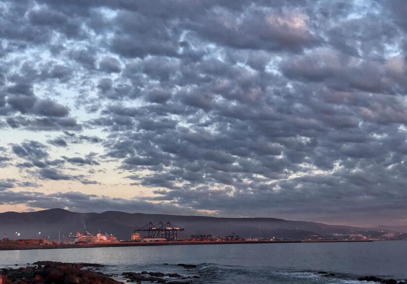 WhatsApp Image 2025-12-21 at 1.06.16 PM