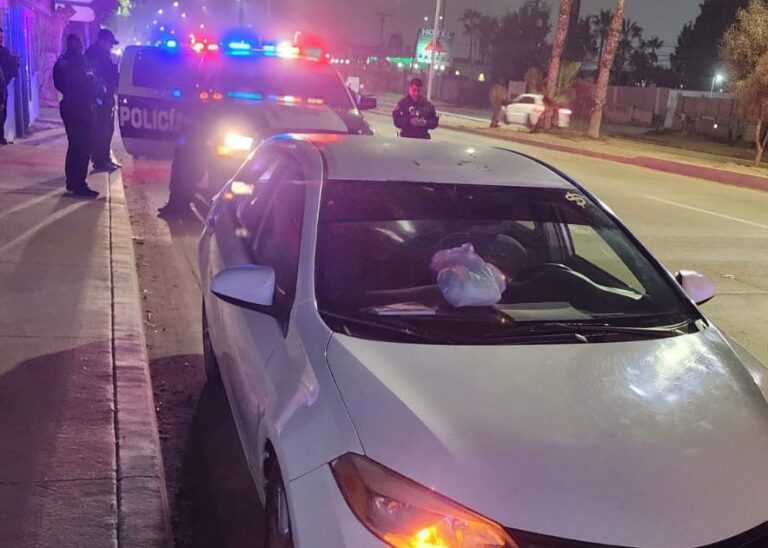 WhatsApp Image 2025-12-22 at 2.23.24 PM (1)