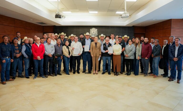 WhatsApp Image 2025-12-26 at 1.29.11 PM