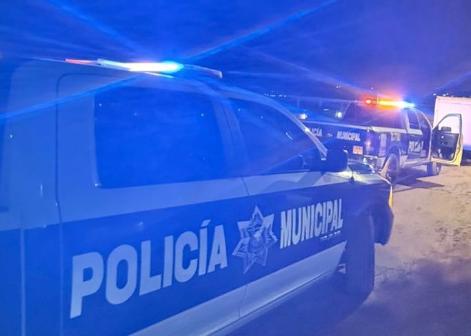 WhatsApp Image 2025-12-27 at 12.02.56 PM