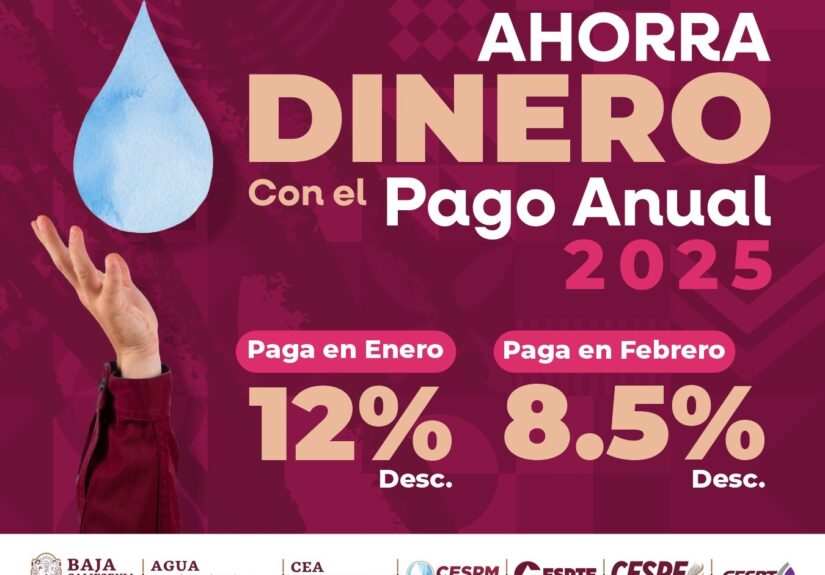 WhatsApp Image 2025-12-27 at 4.05.20 PM