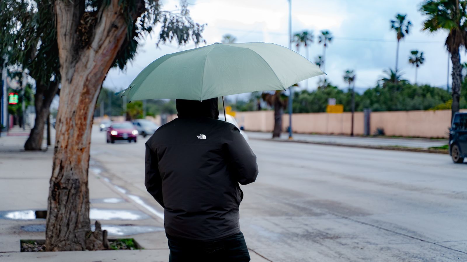 WhatsApp Image 2025-12-28 at 11.47.55 AM