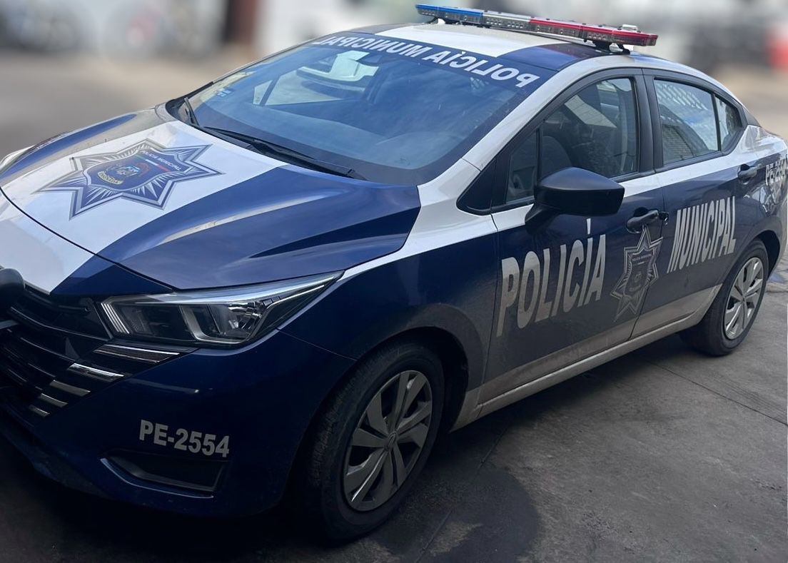 WhatsApp Image 2025-12-29 at 5.09.39 PM (1)