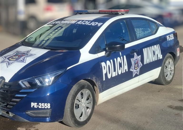 WhatsApp Image 2025-12-29 at 5.09.39 PM