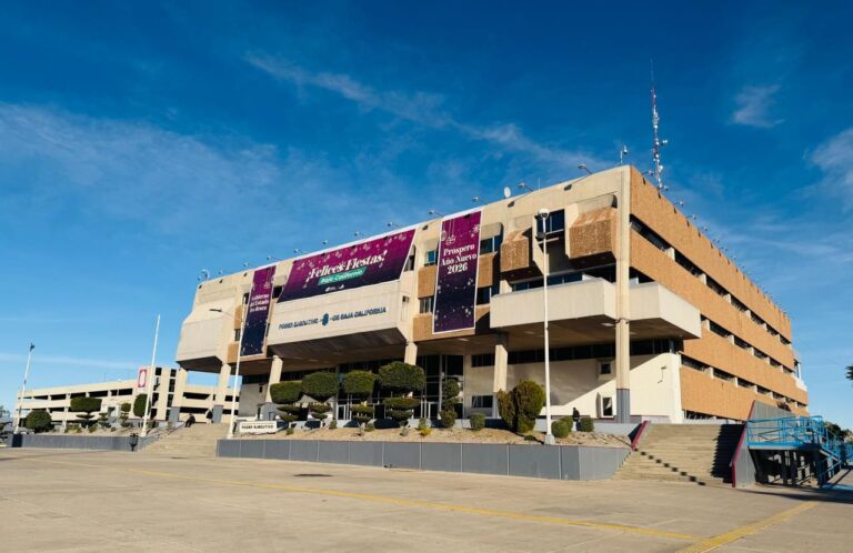 WhatsApp Image 2025-12-29 at 5.10.10 PM