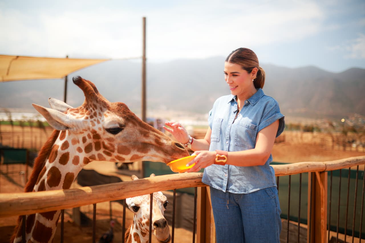 WhatsApp Image 2025-12-31 at 3.19.47 PM