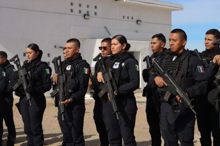 WhatsApp Image 2025-12-31 at 3.21.03 PM