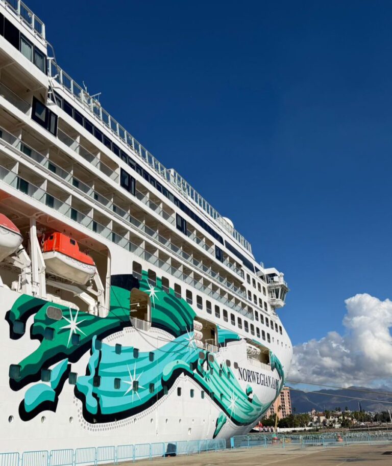 WhatsApp Image 2026-01-05 at 6.49.49 PM (1)