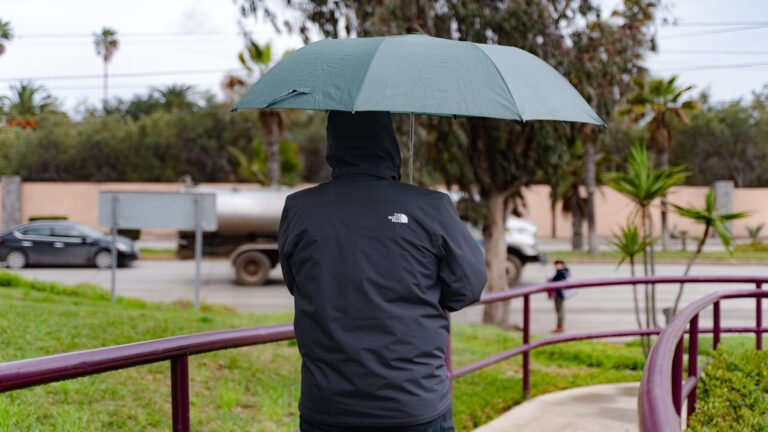 WhatsApp Image 2026-01-06 at 2.47.09 PM