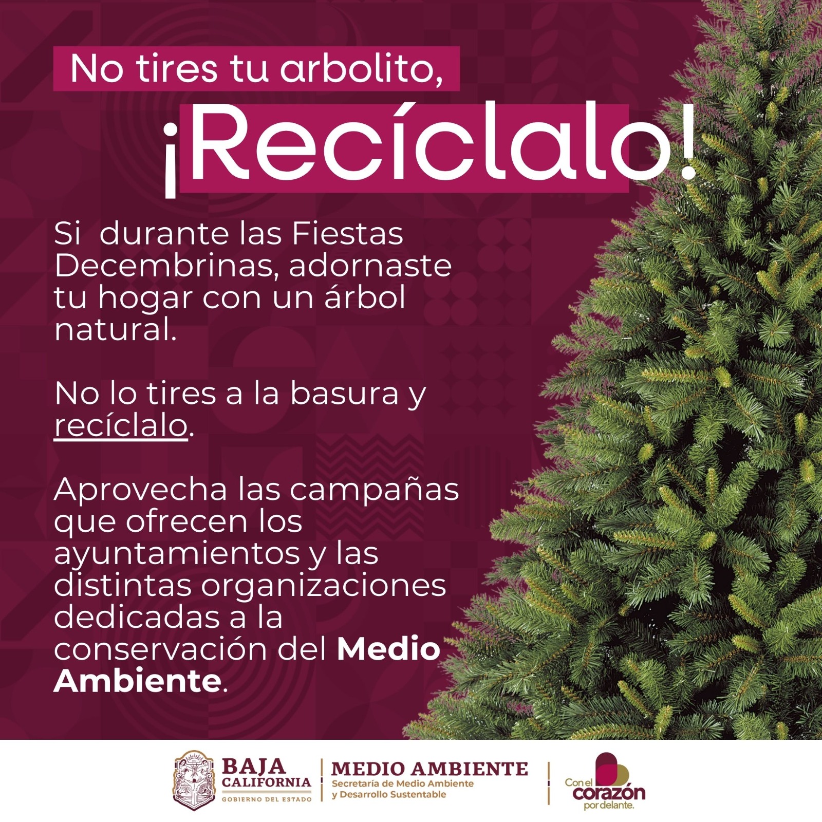 WhatsApp Image 2026-01-08 at 3.31.01 PM