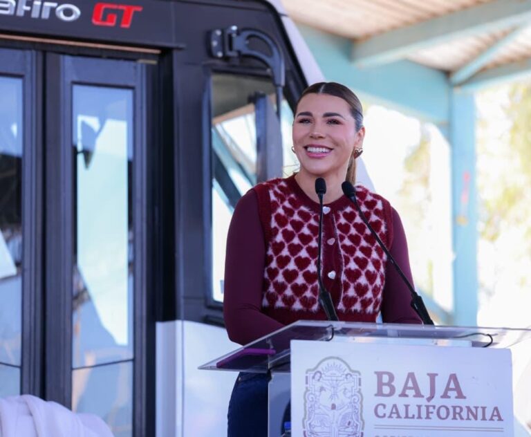 WhatsApp Image 2026-01-10 at 5.36.41 PM