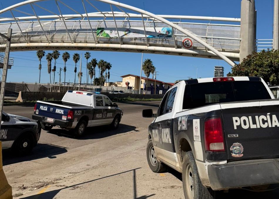 WhatsApp Image 2026-01-11 at 1.55.39 PM (1)