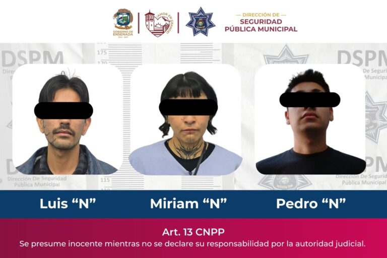 WhatsApp Image 2026-01-12 at 2.41.46 PM