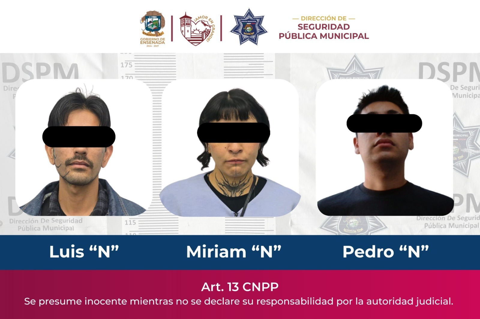 WhatsApp Image 2026-01-12 at 2.41.46 PM