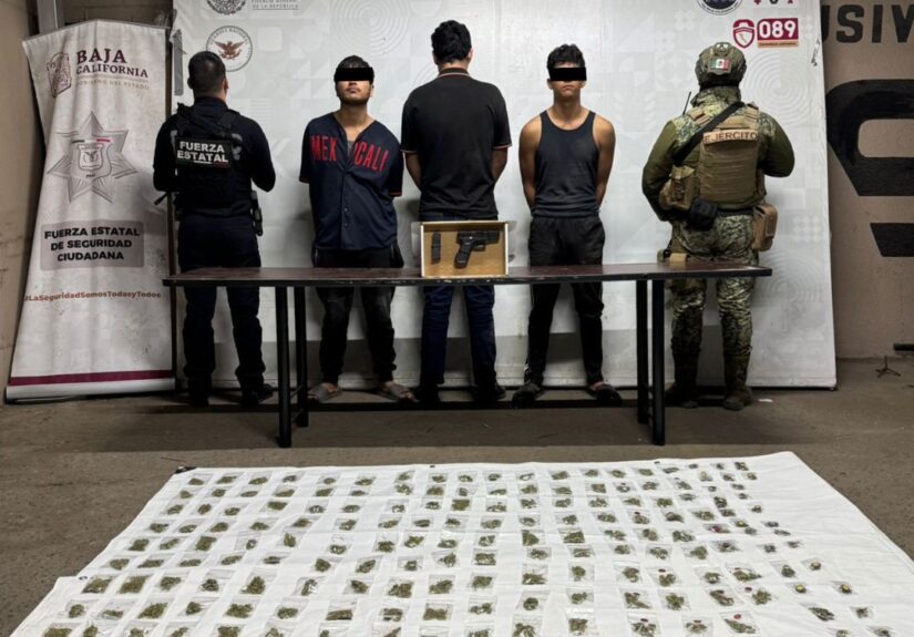 WhatsApp Image 2026-01-14 at 1.01.42 PM