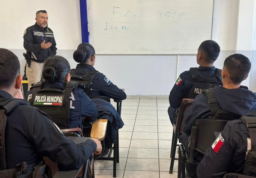 WhatsApp Image 2026-01-14 at 2.45.46 PM