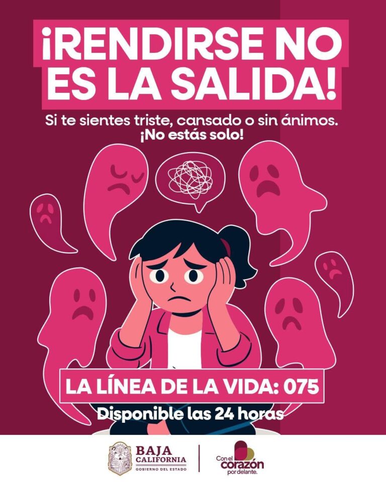 WhatsApp Image 2026-01-14 at 4.45.23 PM