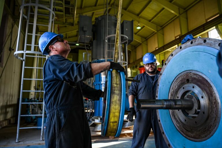 WhatsApp Image 2026-01-15 at 11.20.03 AM