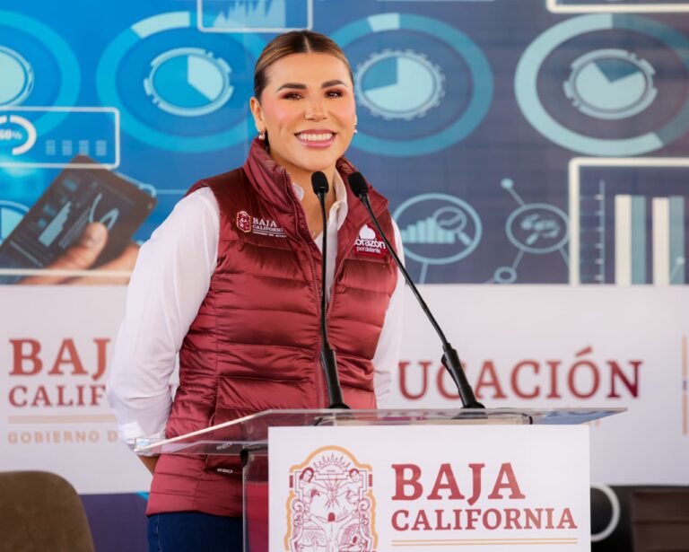 WhatsApp Image 2026-01-15 at 3.33.14 PM