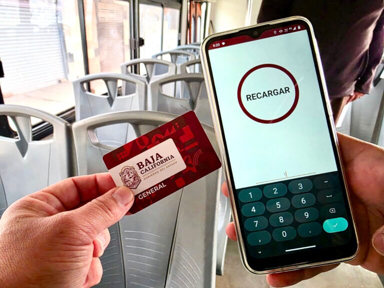 WhatsApp Image 2026-01-16 at 12.05.02 PM