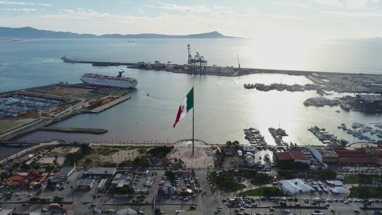 WhatsApp Image 2026-01-18 at 12.24.18 PM (1)