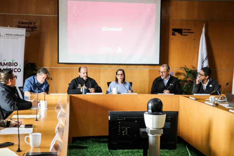 WhatsApp Image 2026-01-20 at 5.26.02 PM