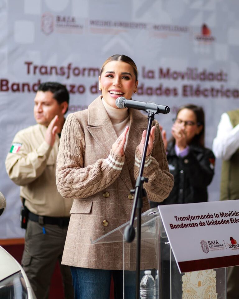 WhatsApp Image 2026-01-22 at 3.53.56 PM