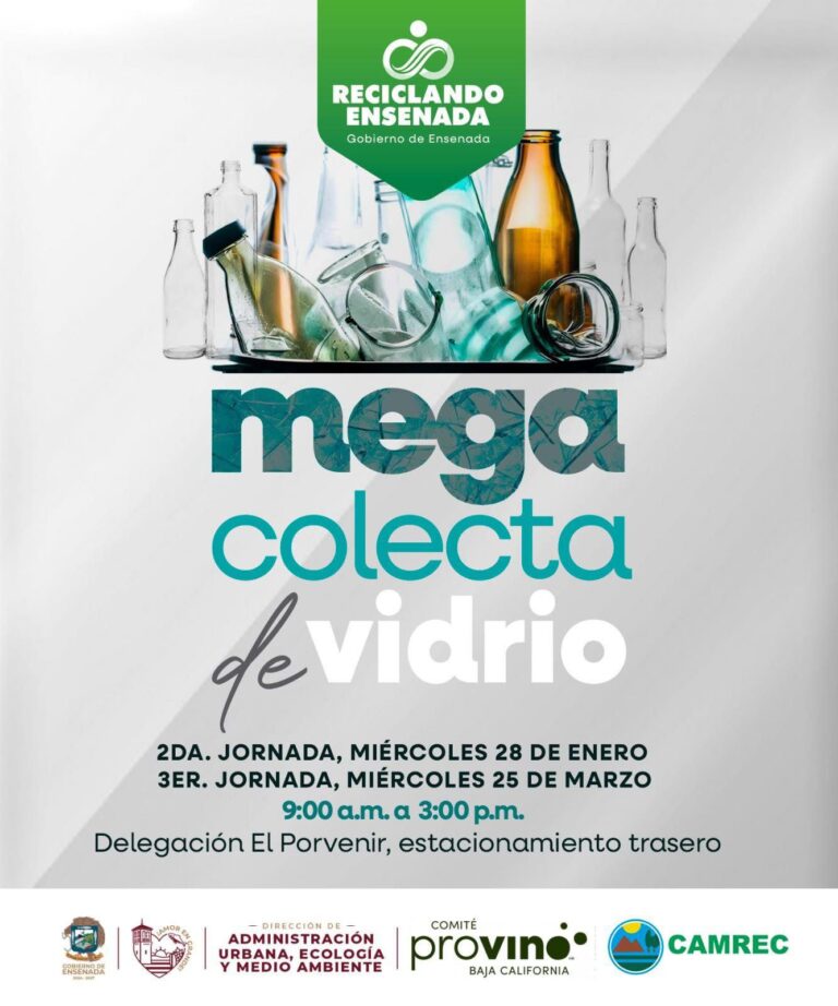 WhatsApp Image 2026-01-25 at 4.11.08 PM