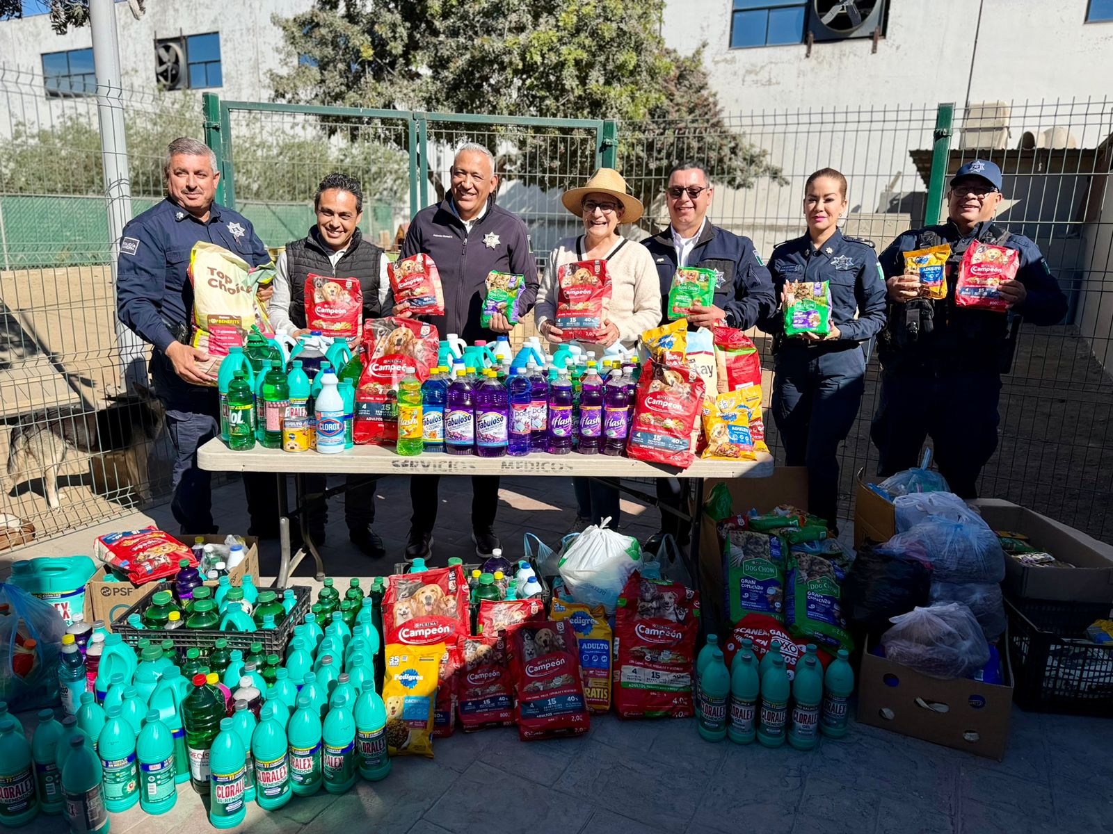 WhatsApp Image 2026-01-26 at 4.54.47 PM