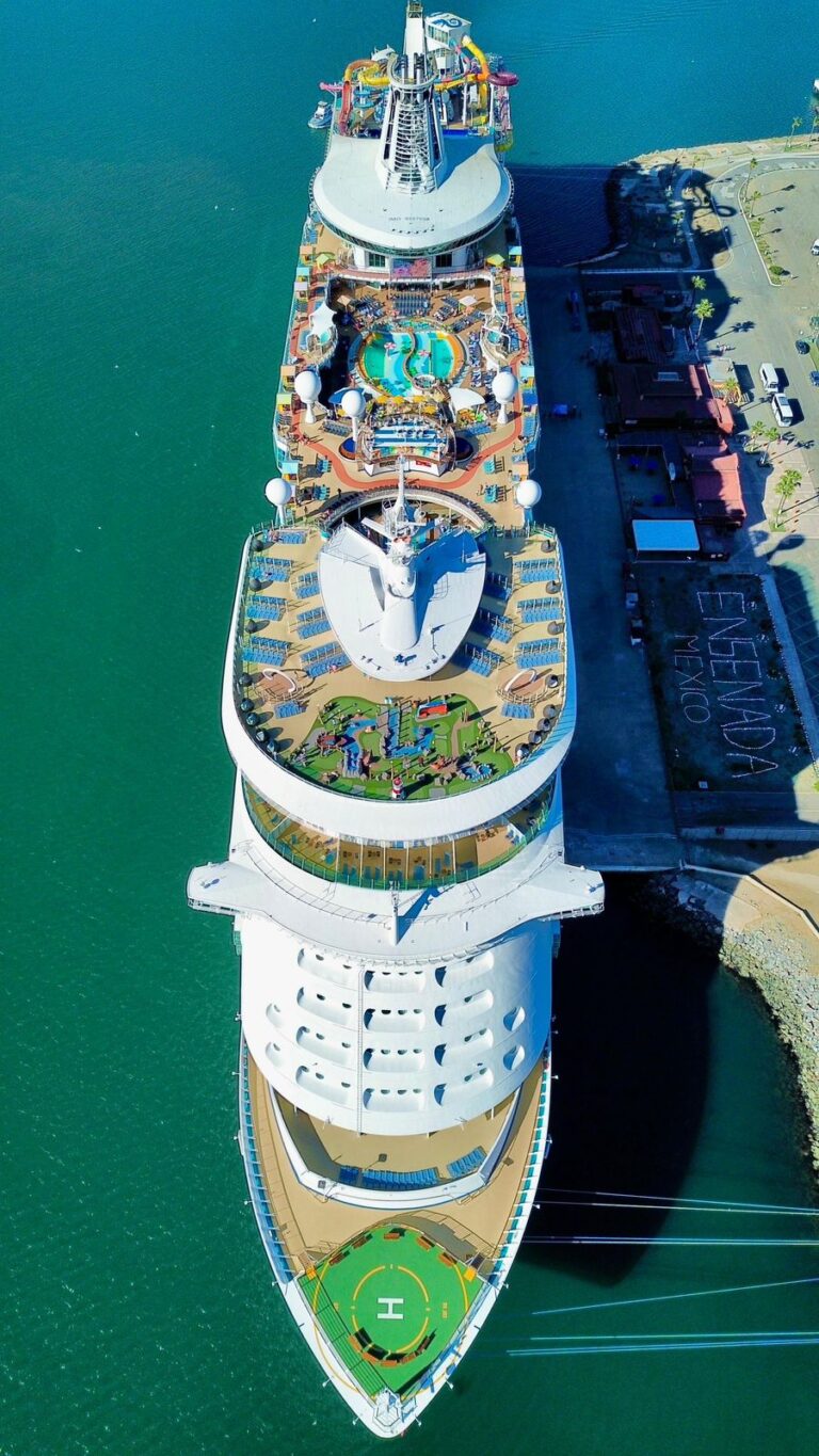 WhatsApp Image 2026-01-27 at 1.26.43 PM