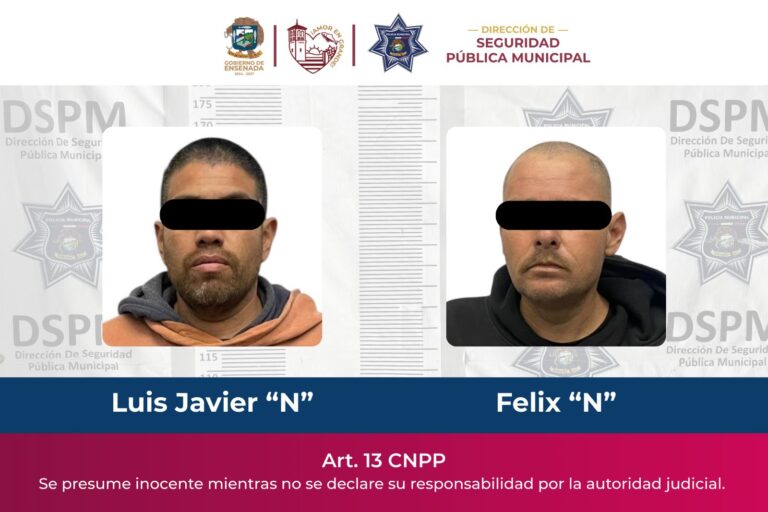 WhatsApp Image 2026-01-29 at 2.41.14 PM