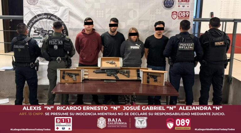 WhatsApp Image 2026-01-31 at 3.26.57 PM