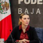 WhatsApp Image 2026-02-02 at 4.24.43 PM