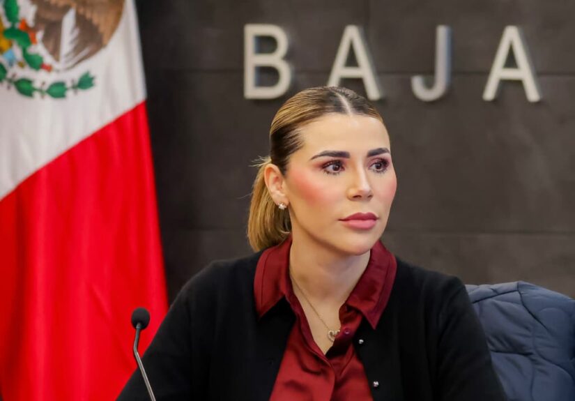 WhatsApp Image 2026-02-02 at 4.24.43 PM