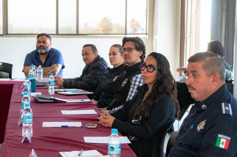 WhatsApp Image 2026-02-03 at 3.40.01 PM