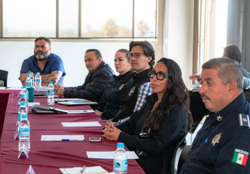 WhatsApp Image 2026-02-03 at 3.40.01 PM