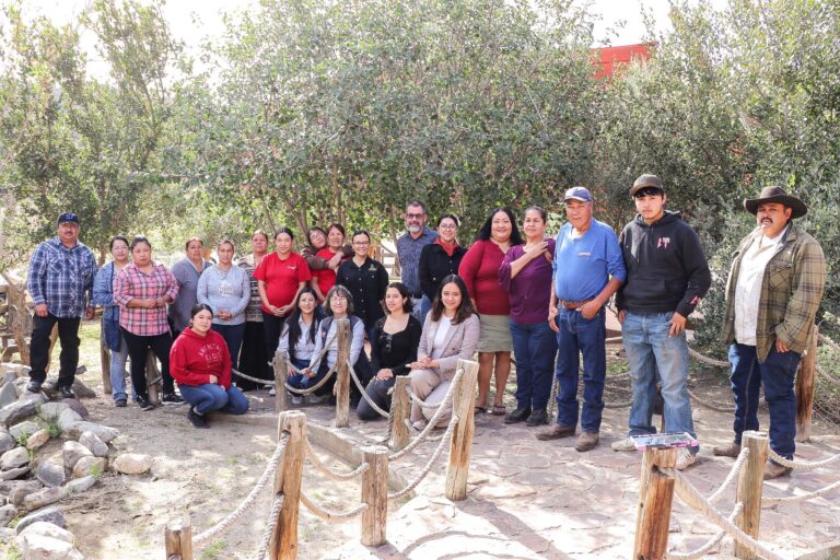 WhatsApp Image 2026-02-06 at 1.00.49 PM