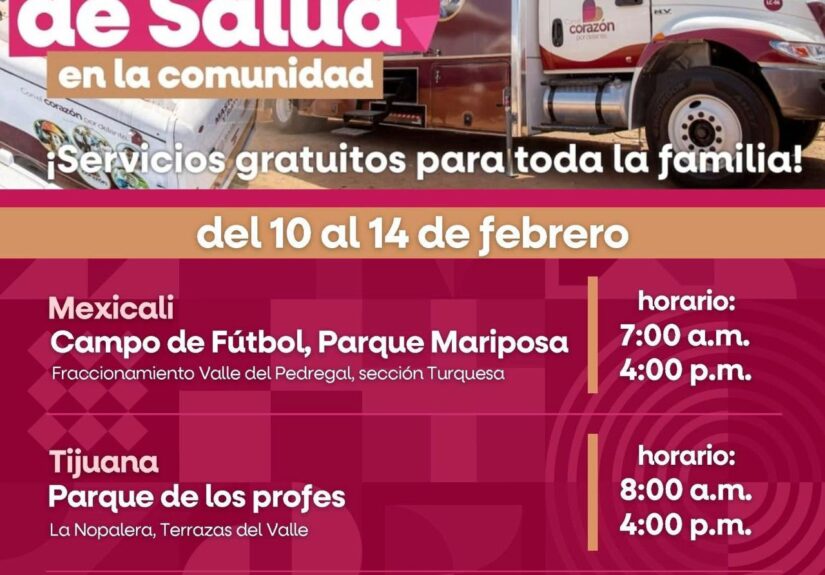 WhatsApp Image 2026-02-09 at 8.48.22 PM (1)