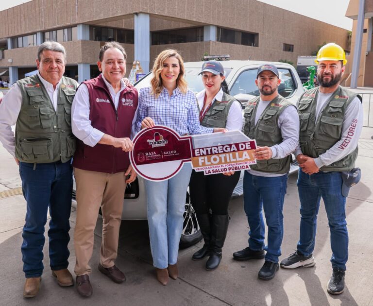 WhatsApp Image 2026-02-10 at 2.59.48 PM